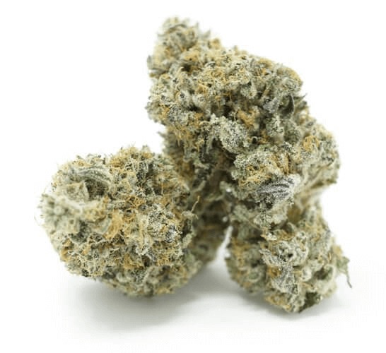 Chocolate OG Strain UK