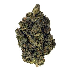 Gelato 41 Weed Strain Uk