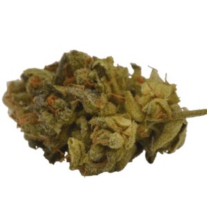 Zowahh Marijuana Strain UK